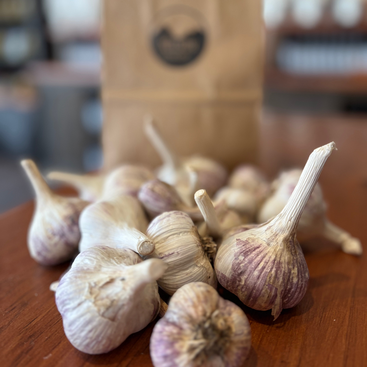 Organic BC Red Russian Garlic